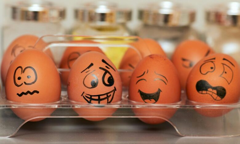 orange and white plastic egg toy